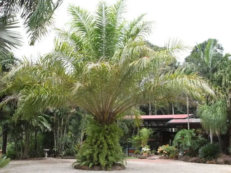 140 GANYAN DRIVE, Speewah QLD 4881