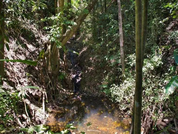 Sixth view of Homely land listing, Lot 201 Drift Close, Goldsborough QLD 4865
