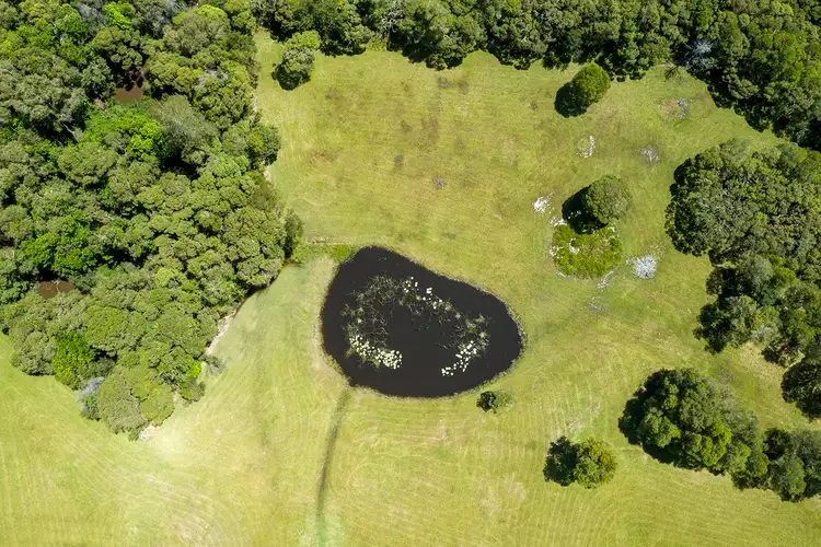 Fifth view of Homely land listing, 25 Frys Creek Road, Bulahdelah NSW 2423