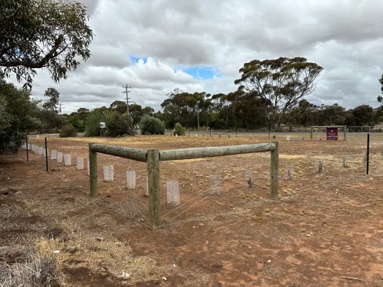 Seventh view of Homely land listing, 36 Alexander Avenue, Berriwillock VIC 3531