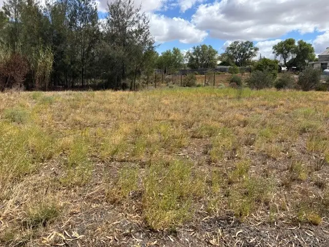 Fifth view of Homely land listing, 146 Woods Street, Donald VIC 3480