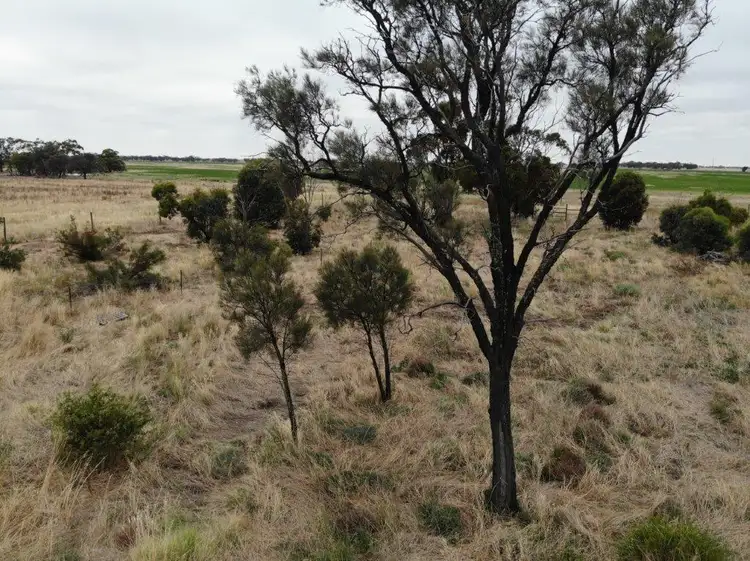 Fifth view of Homely rural property listing, 1 Warracknabeal- Rainbow Rd, Crymelon VIC 3393