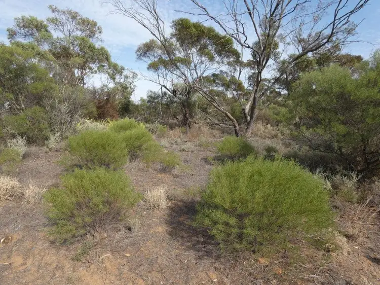 Sixth view of Homely land listing, Mahrong St, Lascelles VIC 3487