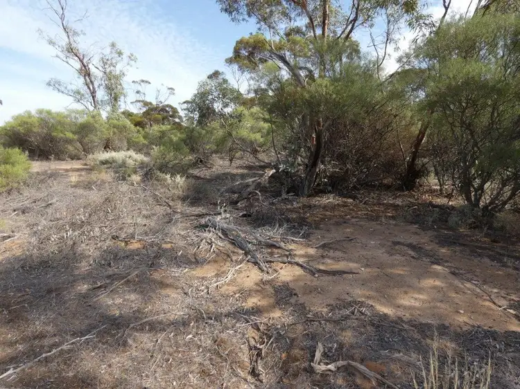 Seventh view of Homely land listing, Mahrong St, Lascelles VIC 3487
