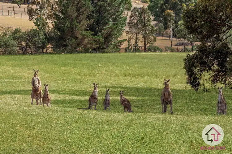 Fifth view of Homely land listing, 6 Darling Court, Wandong VIC 3758