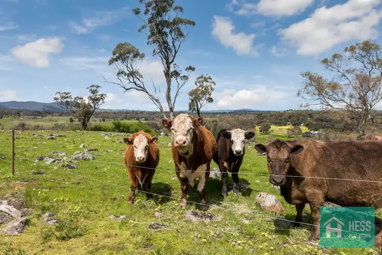 Sixth view of Homely rural property listing, 1200 Sugarloaf Creek Road, Broadford VIC 3658