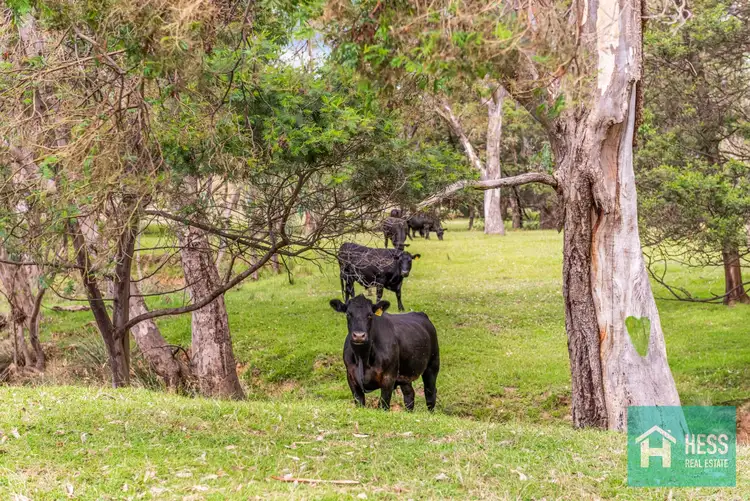 Fifth view of Homely house listing, 960 Seymour-Pyalong Road, Sugarloaf Creek VIC 3658