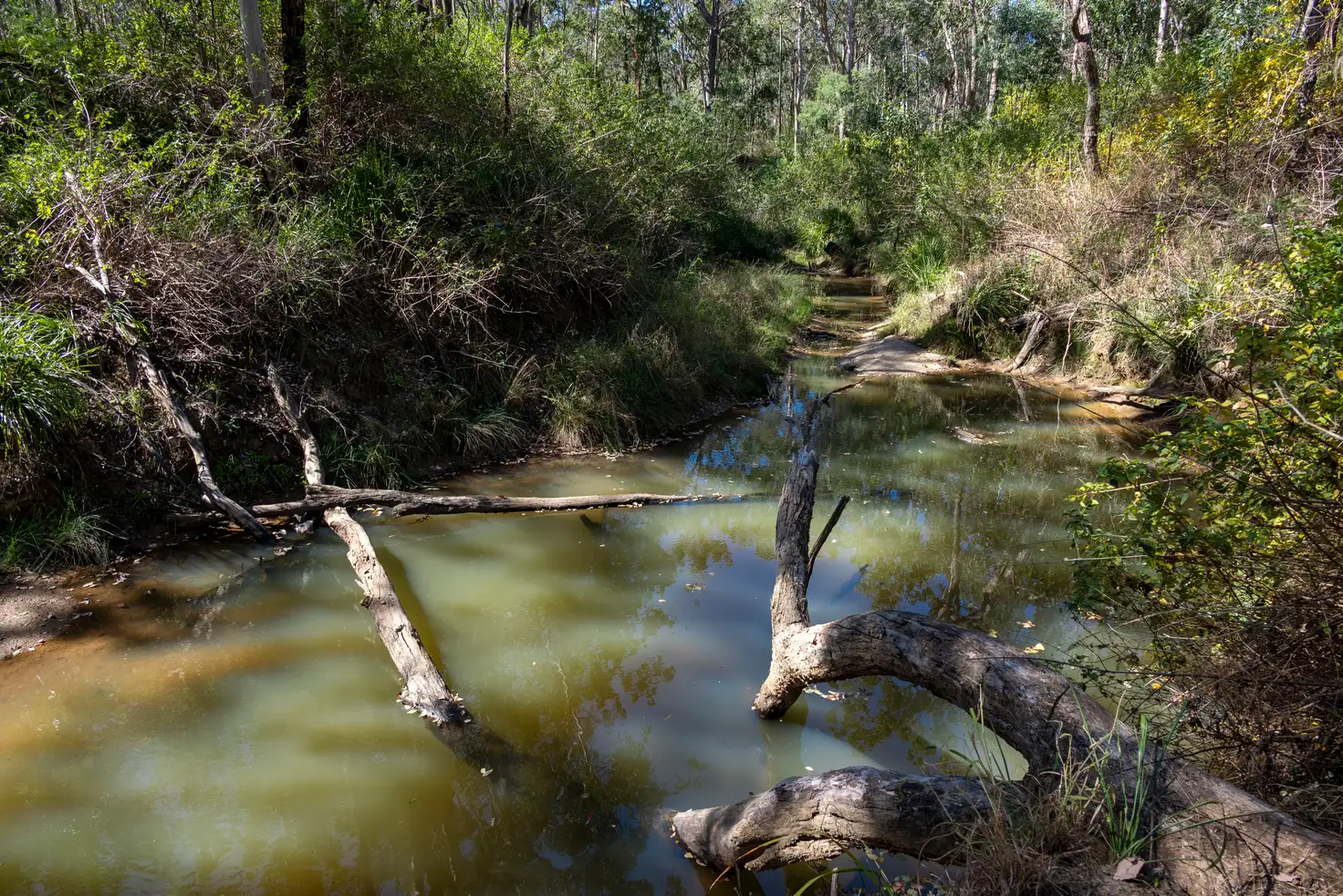 Main view of Homely rural property listing, 151 Cameron Road, Taromeo QLD 4314