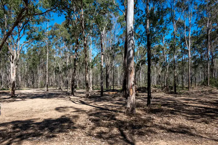 Third view of Homely rural property listing, 151 Cameron Road, Taromeo QLD 4314