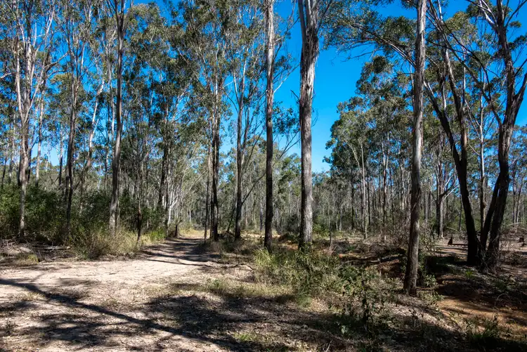 Fourth view of Homely rural property listing, 151 Cameron Road, Taromeo QLD 4314