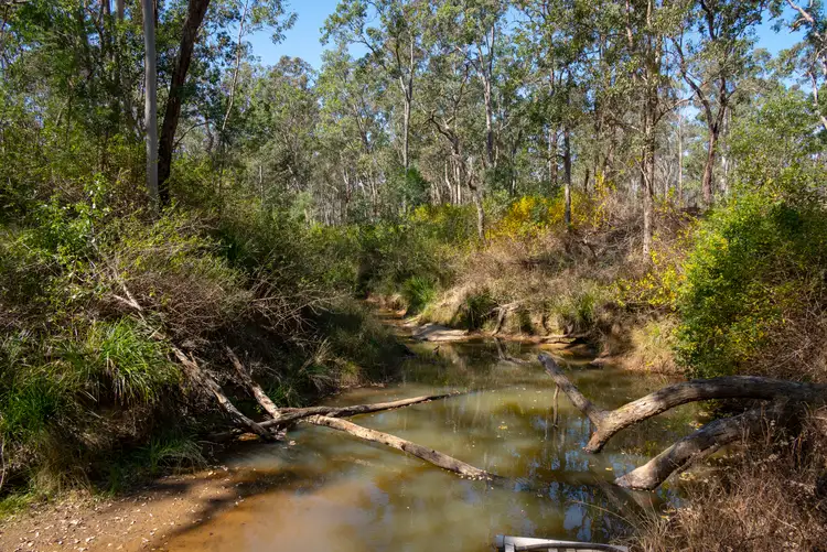 Sixth view of Homely rural property listing, 151 Cameron Road, Taromeo QLD 4314