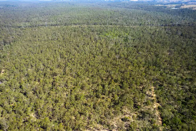 Seventh view of Homely rural property listing, 151 Cameron Road, Taromeo QLD 4314