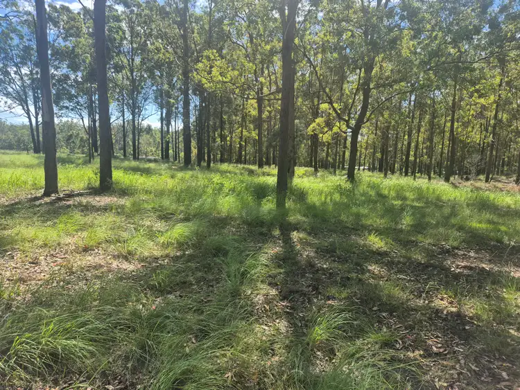 Fourth view of Homely rural property listing, Lot 1 Anita Road, Blackbutt North QLD 4314
