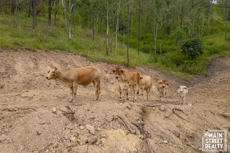 Fifth view of Homely rural property listing, 466 Glenhowden Road, Colinton QLD 4314