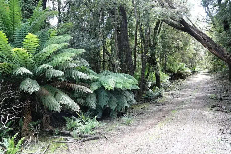 Fifth view of Homely land listing, 1 Croles Road, Trowutta TAS 7330