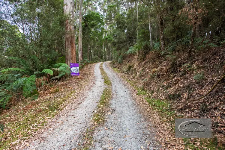 Second view of Homely land listing, Lot Lot Ringle Doddy Road, South Forest TAS 7330