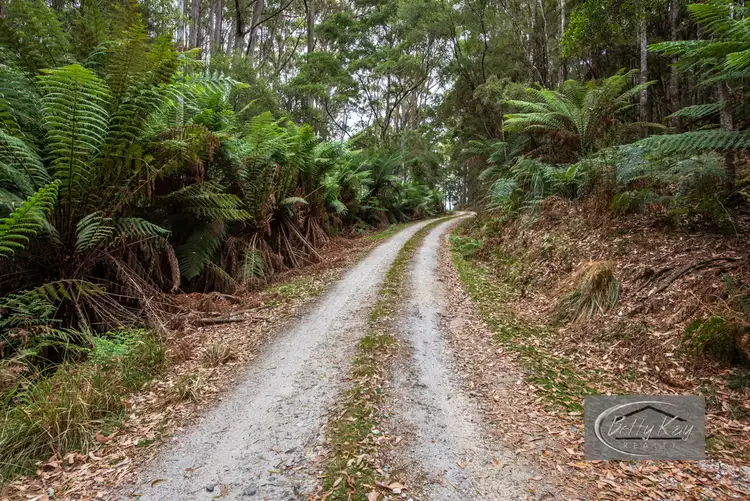 Fifth view of Homely land listing, Lot Lot Ringle Doddy Road, South Forest TAS 7330