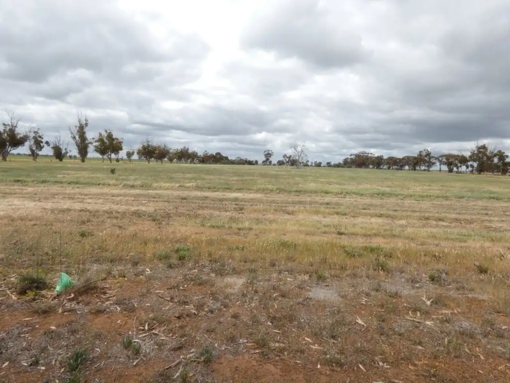 Main view of Homely land listing, 16 Hoban St, Watchem VIC 3482