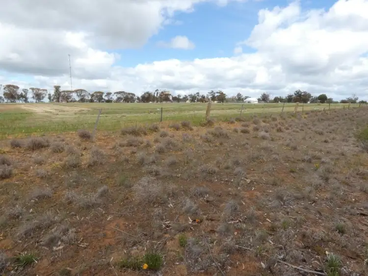Fifth view of Homely land listing, 16 Hoban St, Watchem VIC 3482