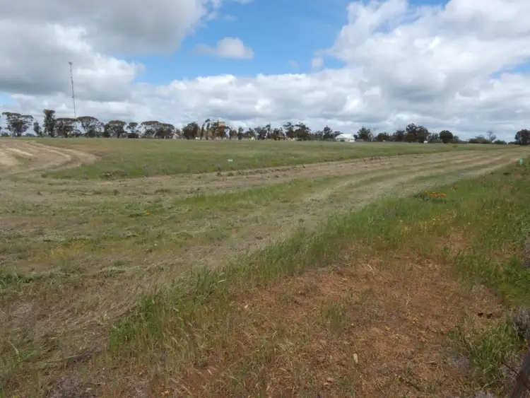Sixth view of Homely land listing, 16 Hoban St, Watchem VIC 3482