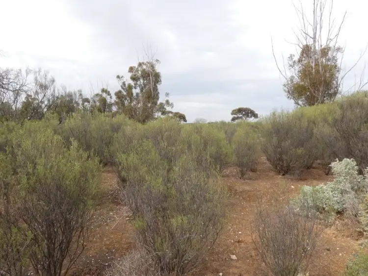 Fifth view of Homely land listing, LOT Lot 14 Lascelles St, Rosebery VIC 3395