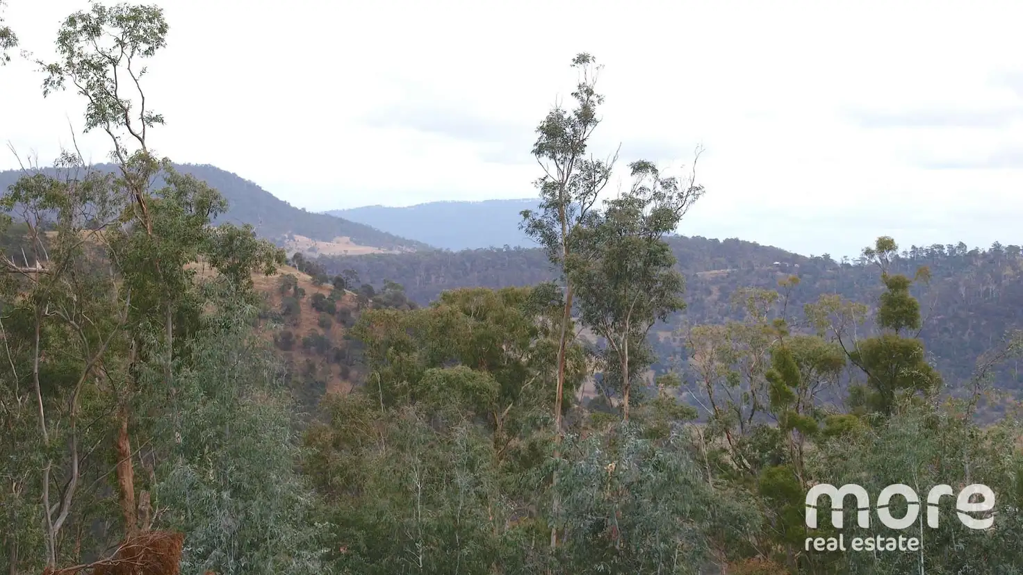 Main view of Homely land listing, 181 Williams Lane, Dysart TAS 7030