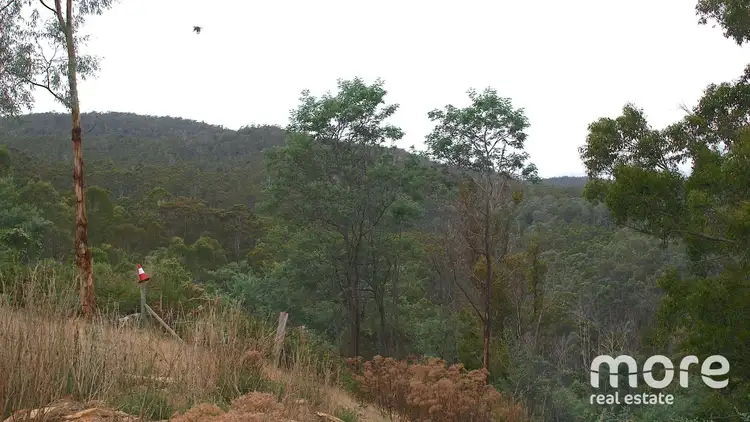 Fifth view of Homely land listing, 181 Williams Lane, Dysart TAS 7030