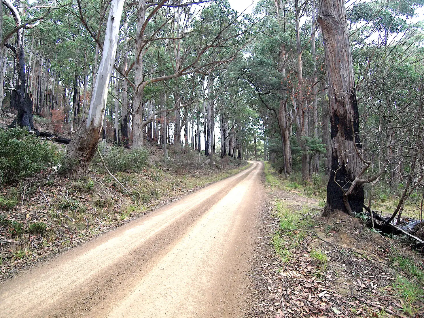 Main view of Homely land listing, 43 Feil Road, Mount Lloyd TAS 7140