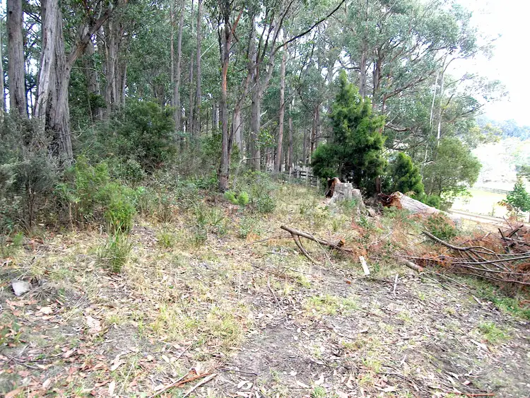Fifth view of Homely land listing, 43 Feil Road, Mount Lloyd TAS 7140