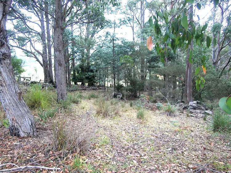 Seventh view of Homely land listing, 43 Feil Road, Mount Lloyd TAS 7140