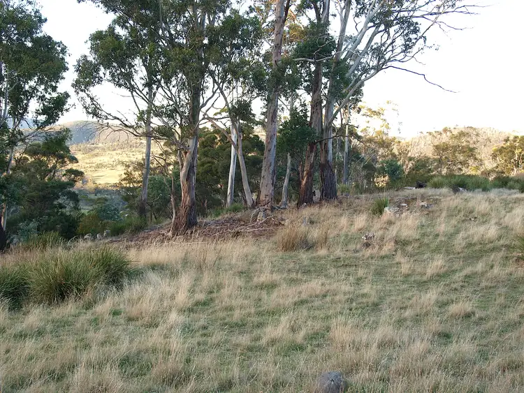 Seventh view of Homely land listing, 7 Moores Road, Lachlan TAS 7140