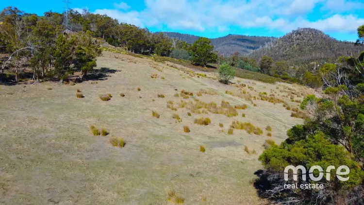 Seventh view of Homely land listing, 404 Molesworth Road, Molesworth TAS 7140