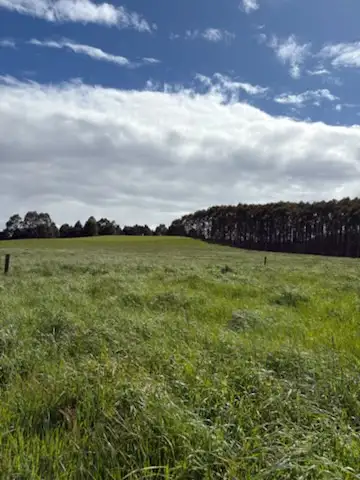 Main view of Homely land listing, 226 Hursts Road, Lileah TAS 7330