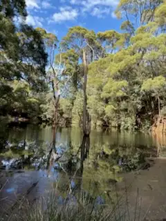 Second view of Homely land listing, 226 Hursts Road, Lileah TAS 7330