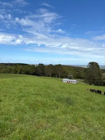 Third view of Homely land listing, 226 Hursts Road, Lileah TAS 7330