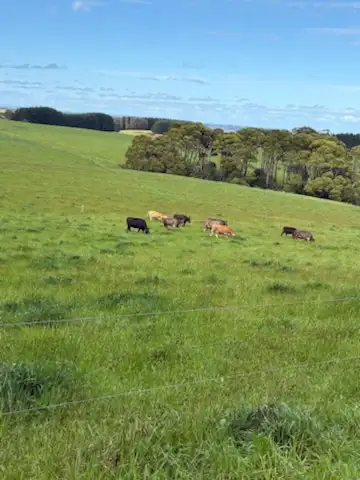 Fourth view of Homely land listing, 226 Hursts Road, Lileah TAS 7330