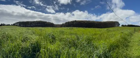 Fifth view of Homely land listing, 226 Hursts Road, Lileah TAS 7330