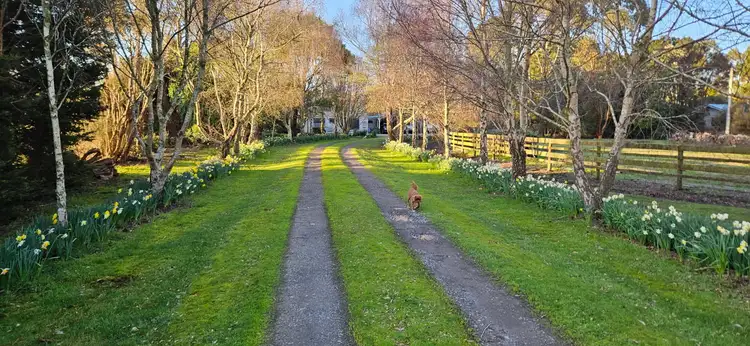 Fourth view of Homely house listing, 356 montagu road, Smithton TAS 7330