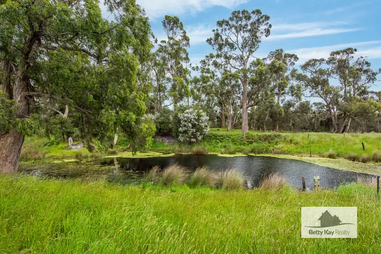 Sixth view of Homely house listing, 74 boyndey Road, Black River TAS 7321
