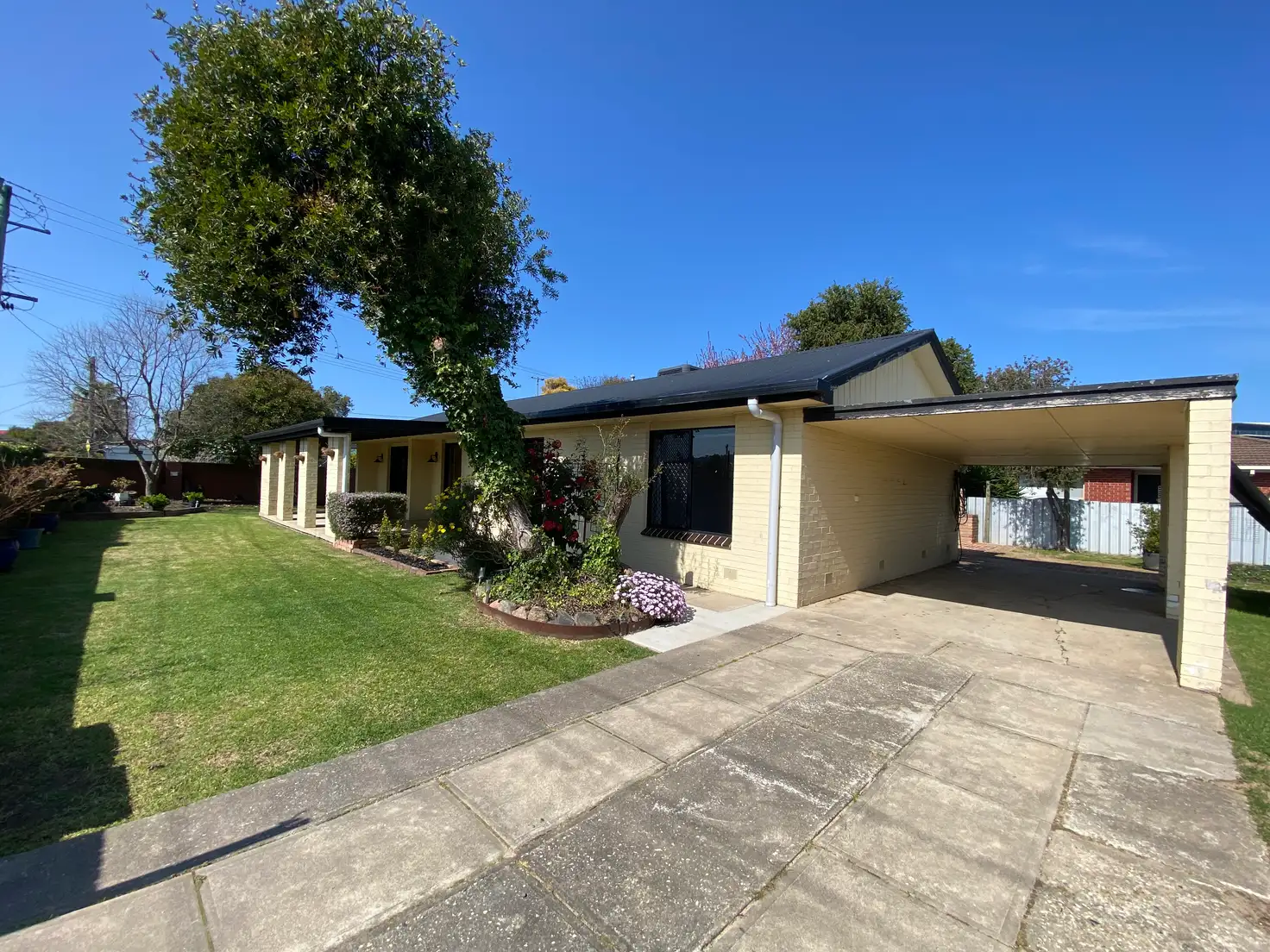 Main view of Homely house listing, 391 Kotthoff Street, Lavington NSW 2641