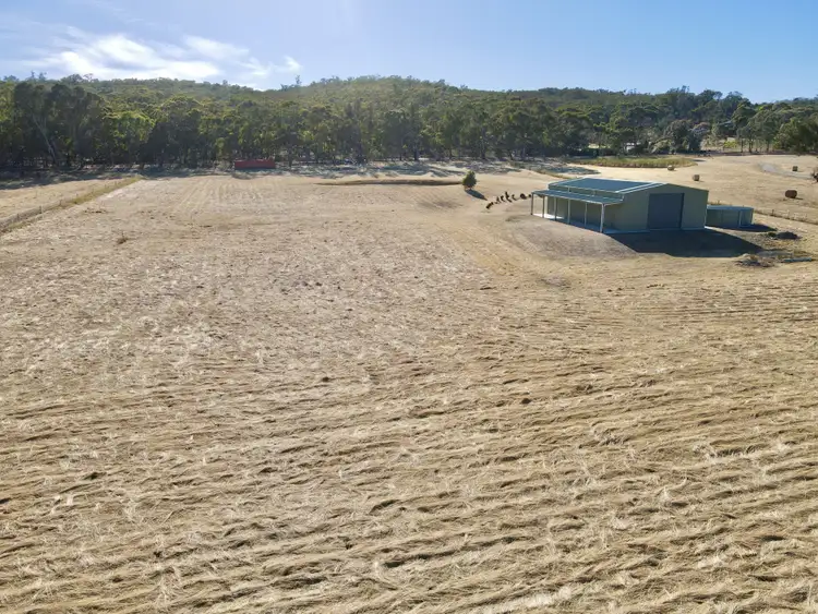 Fifth view of Homely land listing, 1254 Axe Creek Road, Sedgwick VIC 3551