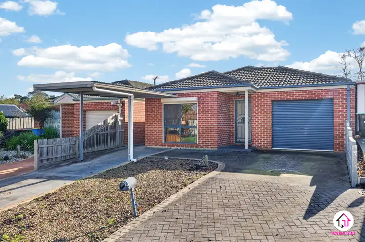 3 Timothy Crt