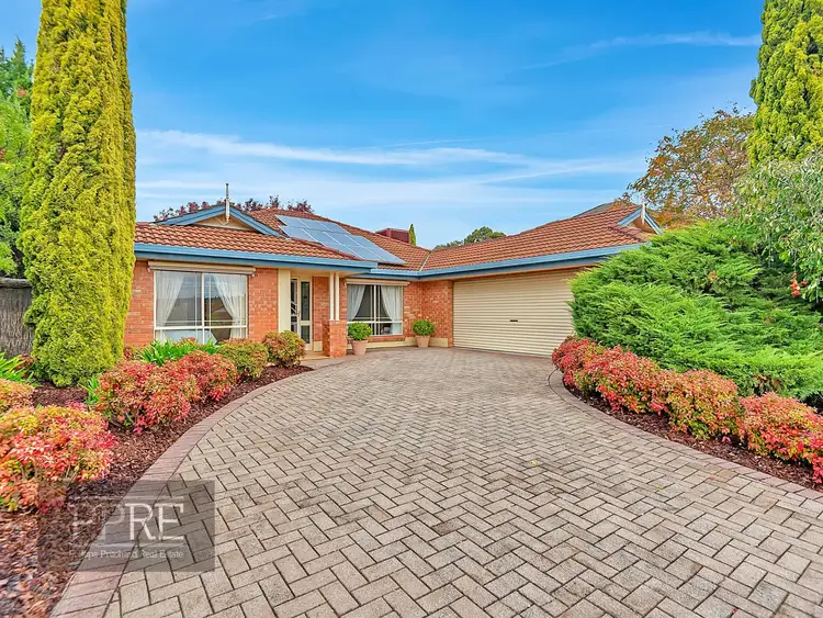 Main view of Homely house listing, 19 Petworth Parade, Greenwith SA 5125