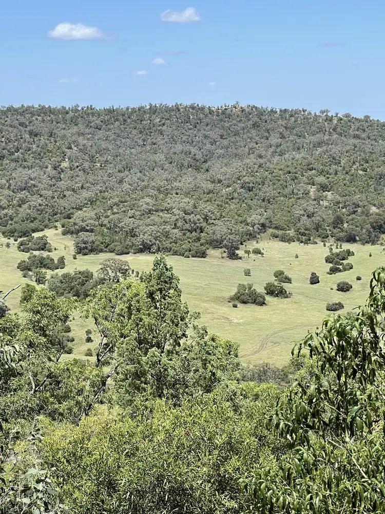 Main view of Homely rural property listing, 1020 Bramble Rd, Warrumbungle NSW 2828