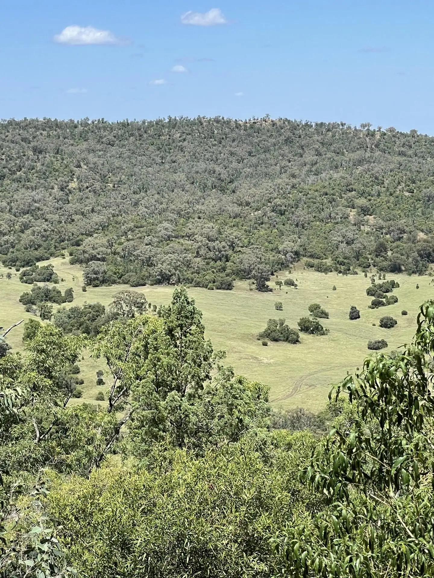 Main view of Homely rural property listing, 1020 Bramble Rd, Warrumbungle NSW 2828