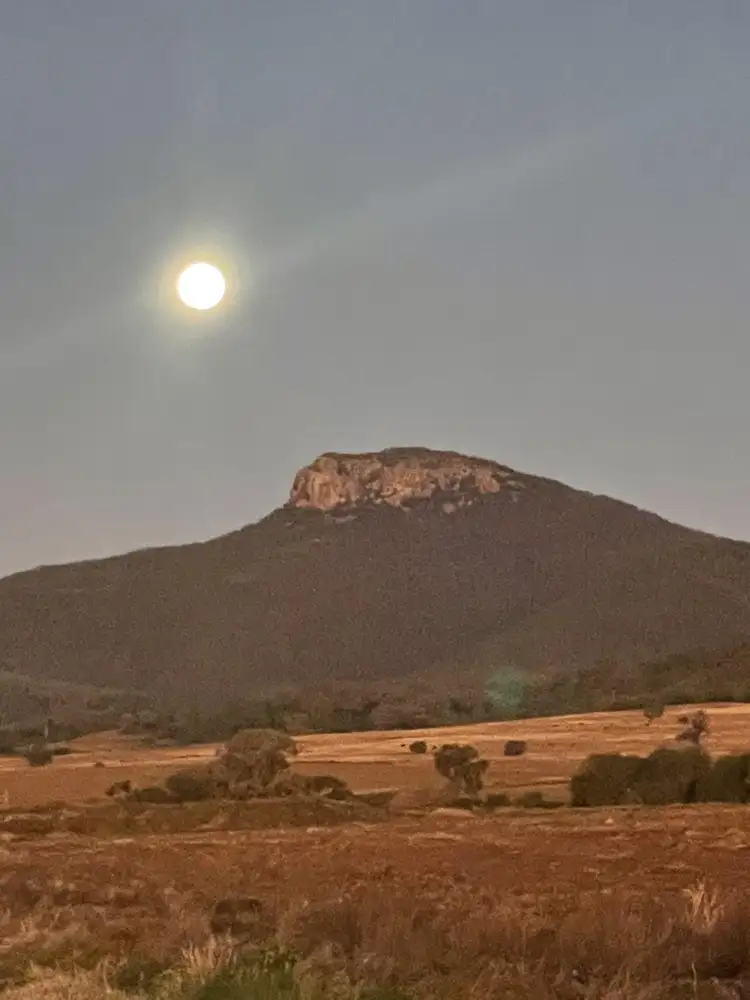 Seventh view of Homely rural property listing, 1020 Bramble Rd, Warrumbungle NSW 2828