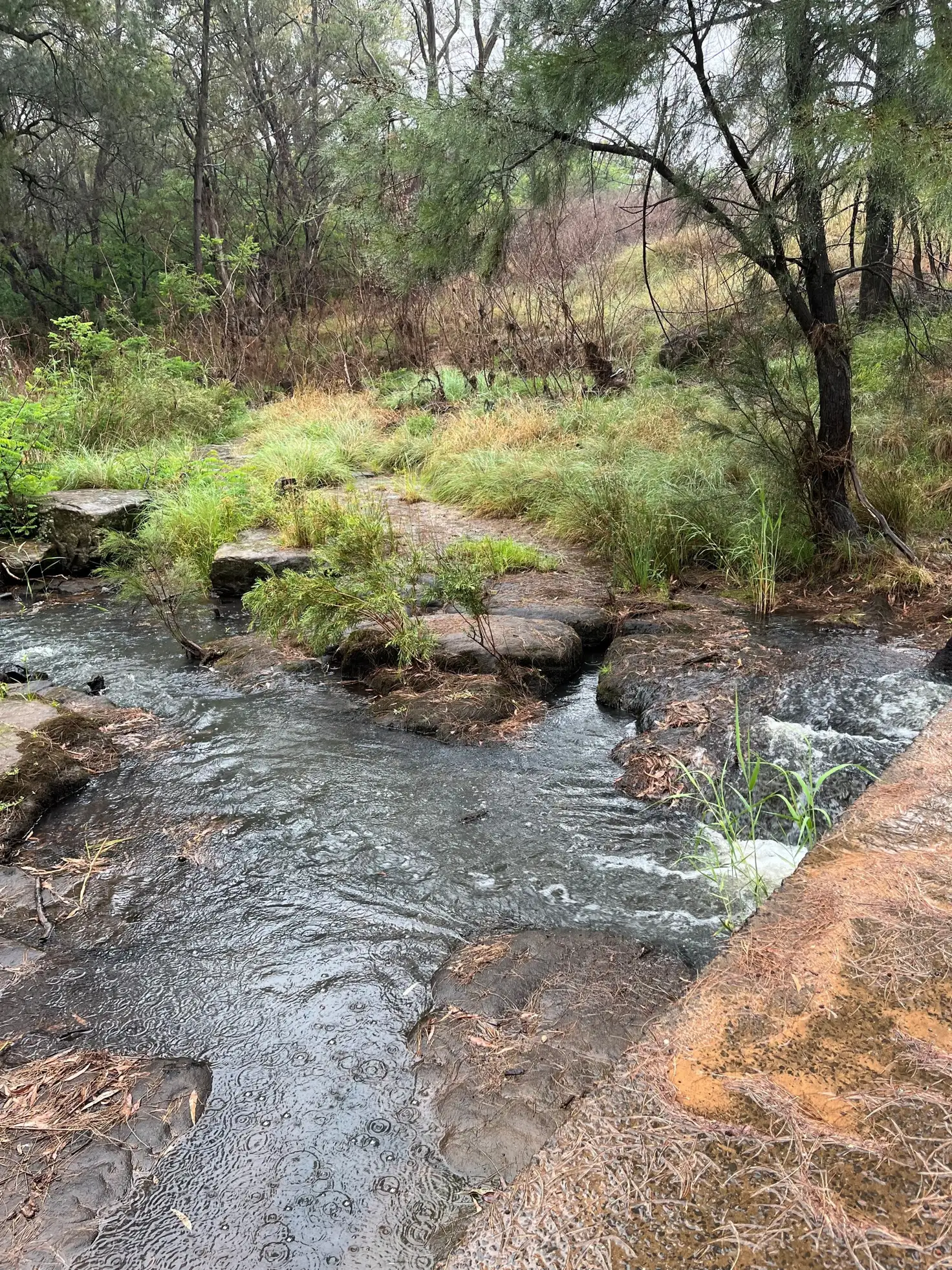 Main view of Homely rural property listing, Address available on request