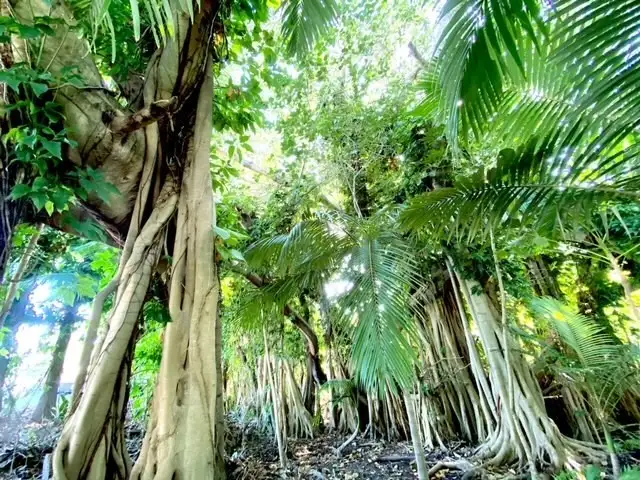 Main view of Homely land listing, Lot 18/11-19 Esplanade, Picnic Bay QLD 4819