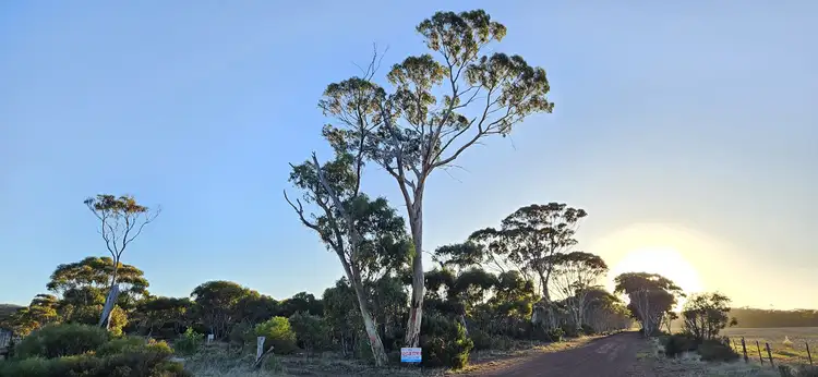 Main view of Homely land listing, Lot 1 Carlingup Road, Ravensthorpe WA 6346