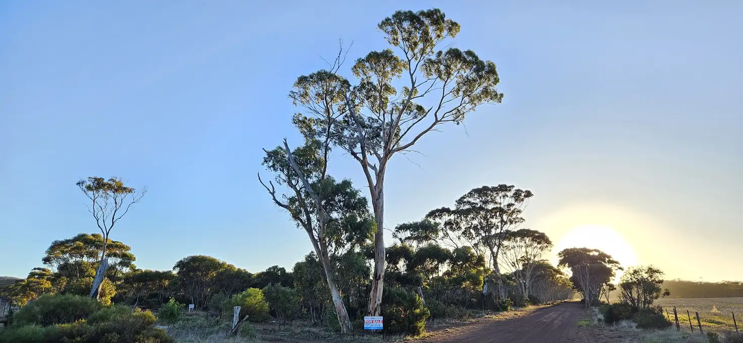 Main view of Homely land listing, Lot 1 Carlingup Road, Ravensthorpe WA 6346